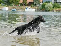 Nancy  02
